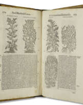 Commentarii secundo aucti in libros sex Pedacii Dioscoridis Anazarbei de Medica Materia