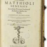 Commentarii secundo aucti in libros sex Pedacii Dioscoridis Anazarbei de Medica Materia - фото 3