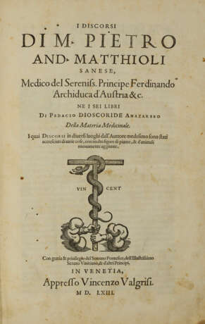 I Discorsi … ne i sei libri di Pedacio Dioscoride Anazarbeo della Material Medicinale - photo 3