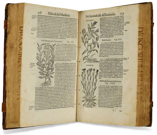 I Discorsi … ne i sei libri di Pedacio Dioscoride Anazarbeo della Material Medicinale - фото 4