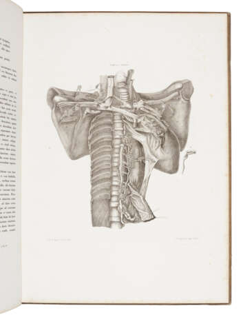 Soemmerringio anatomico et physiologo - photo 1