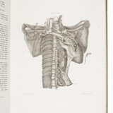 Soemmerringio anatomico et physiologo - photo 1