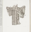 Soemmerringio anatomico et physiologo - Auction archive
