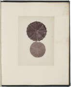 John Thomas Redmayne. Micro-photographs from the Diatomaceae