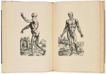 Vesalius's Icones anatomicae