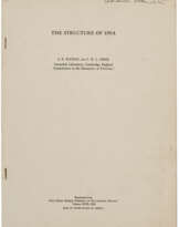 The Structure of DNA