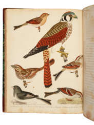 American Ornithology
