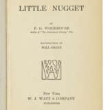 The Little Nugget - photo 3
