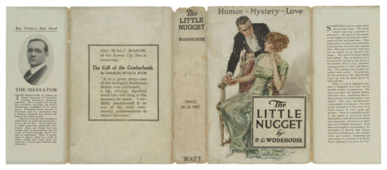 The Little Nugget - photo 4