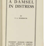 A Damsel in Distress - фото 2