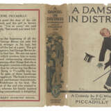 A Damsel in Distress - photo 4