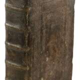 Biblia germanica. - фото 2