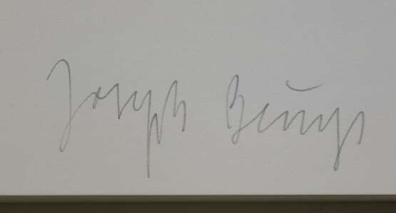 Joseph Beuys. - Foto 2