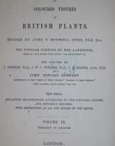 Sowerby, J.