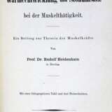 Heidenhain, R. - photo 1