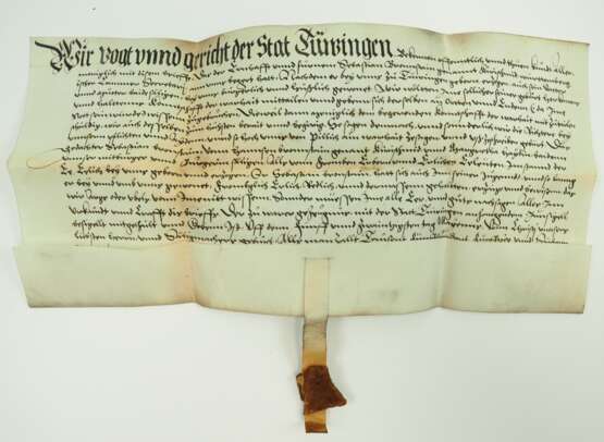 Tübingen - Pergament Urkunde 1557. - фото 1