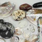 Sammlung Mineralien und Muscheln. - photo 2