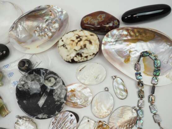 Sammlung Mineralien und Muscheln. - photo 2