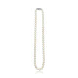 NO RESERVE - GROUP OF CULTURED PEARL NECKLACES - фото 10
