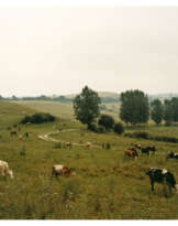 CLARE RICHARDSON (B. 1973)