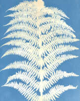 ANNA ATKINS (1799-1871)
