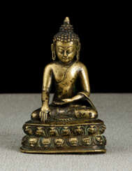 Le Bouddha Shakyamuni