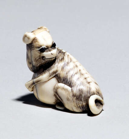 Netsuke eines Hündchens mit Ball aus Elfenbein - фото 1