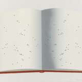 Open Book With Worm Holes - Foto 1