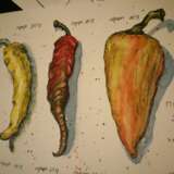 “The sketch peppers” See description 2018 - photo 1
