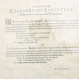 BASILIUS BESLER, Bizanthia Maior, Auszug aus dem Hortus Eystettensis, Kupferstich, Altkoloriert, 17. Jahrhundert - Foto 3
