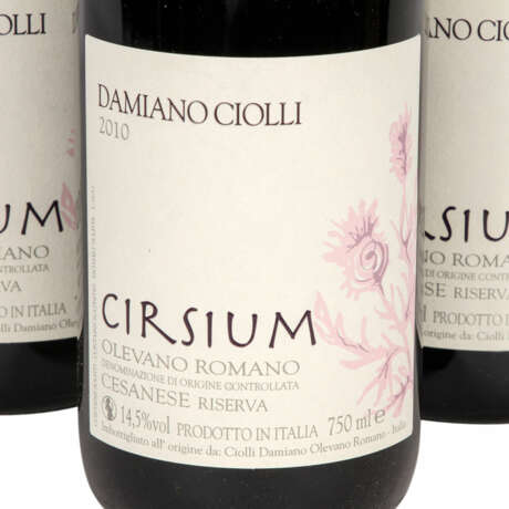 DAMIANO CIOLLO 6 Flaschen CIRSIUM, 2010 - фото 3