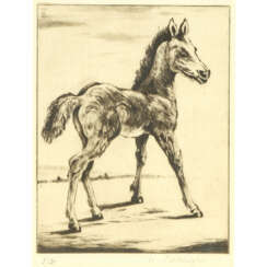 BOLSINGER, WILLY (1892-?), "Foal"