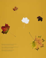 Jimmie Durham. Look Ahead (for Parkett 92)