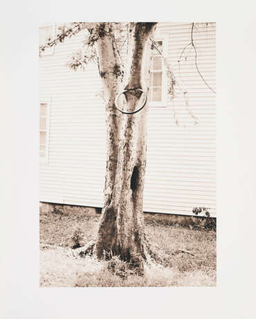 David Hammons. Money Tree (for Parkett 31) - фото 1