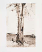 Дэвид Хэммонс. David Hammons. Money Tree (for Parkett 31)
