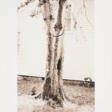 David Hammons. Money Tree (for Parkett 31) - Архив аукционов