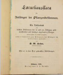 Excursionsflora v. 1880