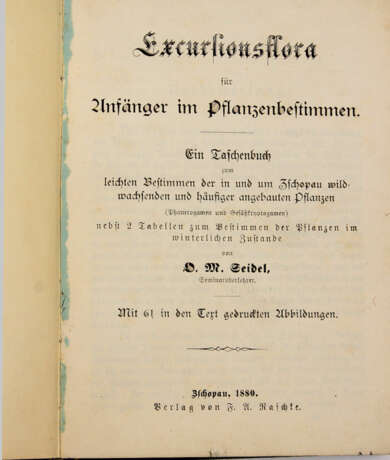 Excursionsflora v. 1880 - Foto 1