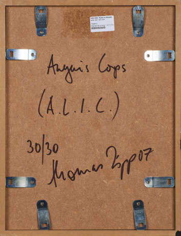 Thomas Zipp. Anguis Corps (A.L.I.C.) - фото 3