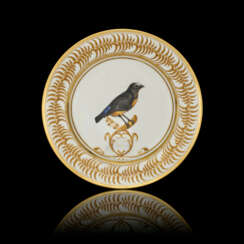 A SEVRES PLATE FROM THE 'SERVICE DES OISEAUX DE L'AMERIQUE DU SUD' PRESENTED BY KING CHARLES X TO THE DUCHESSE D'ANGOULEME