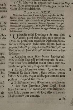 Bibel Bamberg 1693 - фото 2