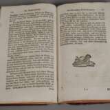 Zwei Bände Forst-Magazin 1765/68 - photo 4