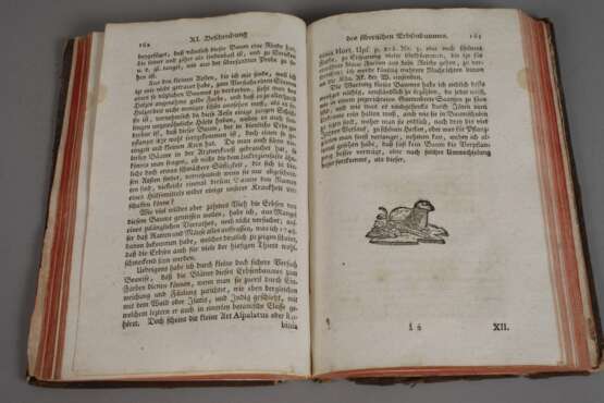 Zwei Bände Forst-Magazin 1765/68 - photo 4