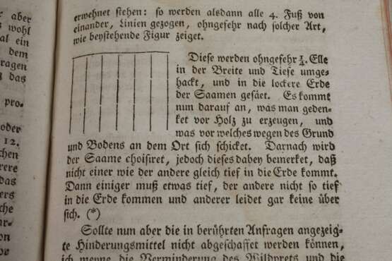 Zwei Bände Forst-Magazin 1765/68 - photo 5