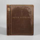 Monografie Peter Behrens - photo 1