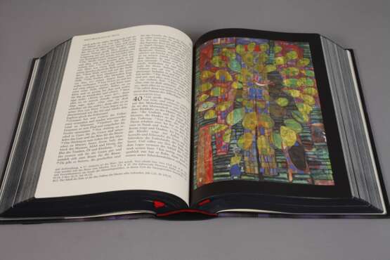 Hundertwasser-Bibel - Foto 3