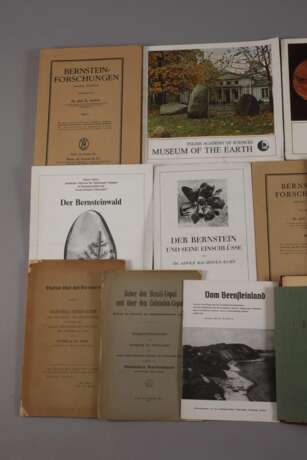 Konvolut Fachliteratur Bernstein - photo 2