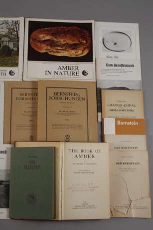 Konvolut Fachliteratur Bernstein - Foto 3