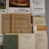 Konvolut Fachliteratur Bernstein - Foto 3