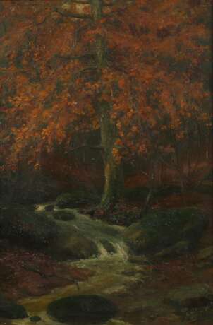 Herbstlicher Waldbach - Foto 1